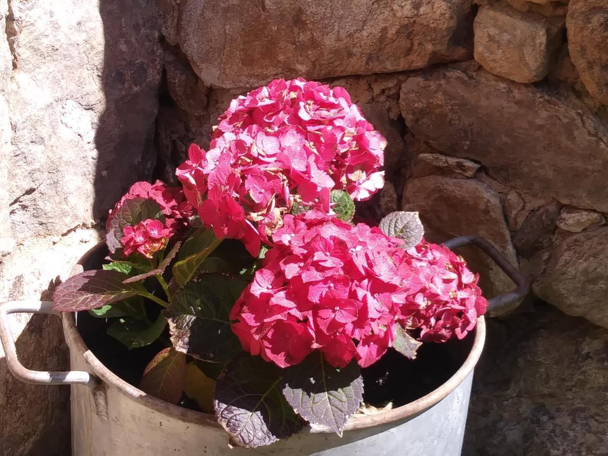 הוילה Torre Val De San Pedro La Salceda מראה חיצוני תמונה